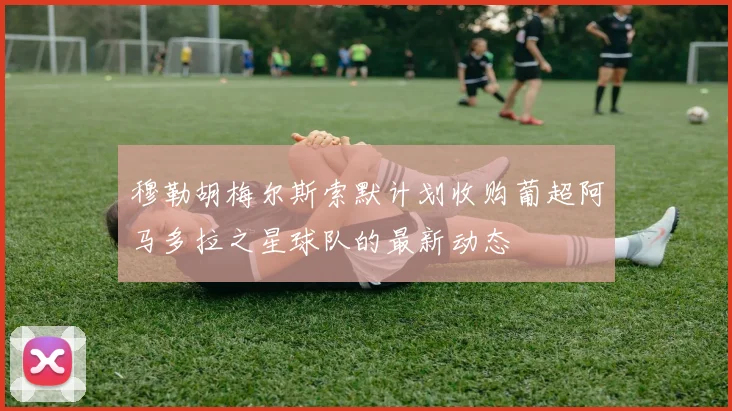 穆勒胡梅尔斯索默计划收购葡超阿马多拉之星球队的最新动态
