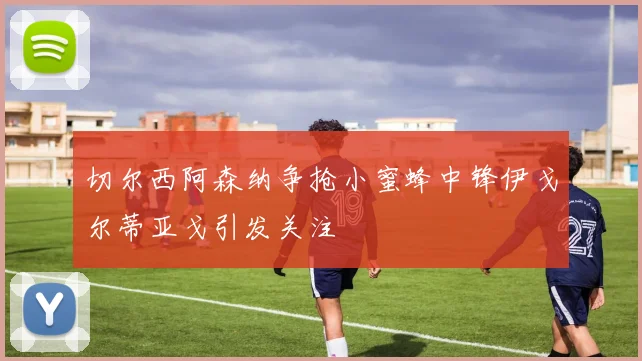 切尔西阿森纳争抢小蜜蜂中锋伊戈尔蒂亚戈引发关注